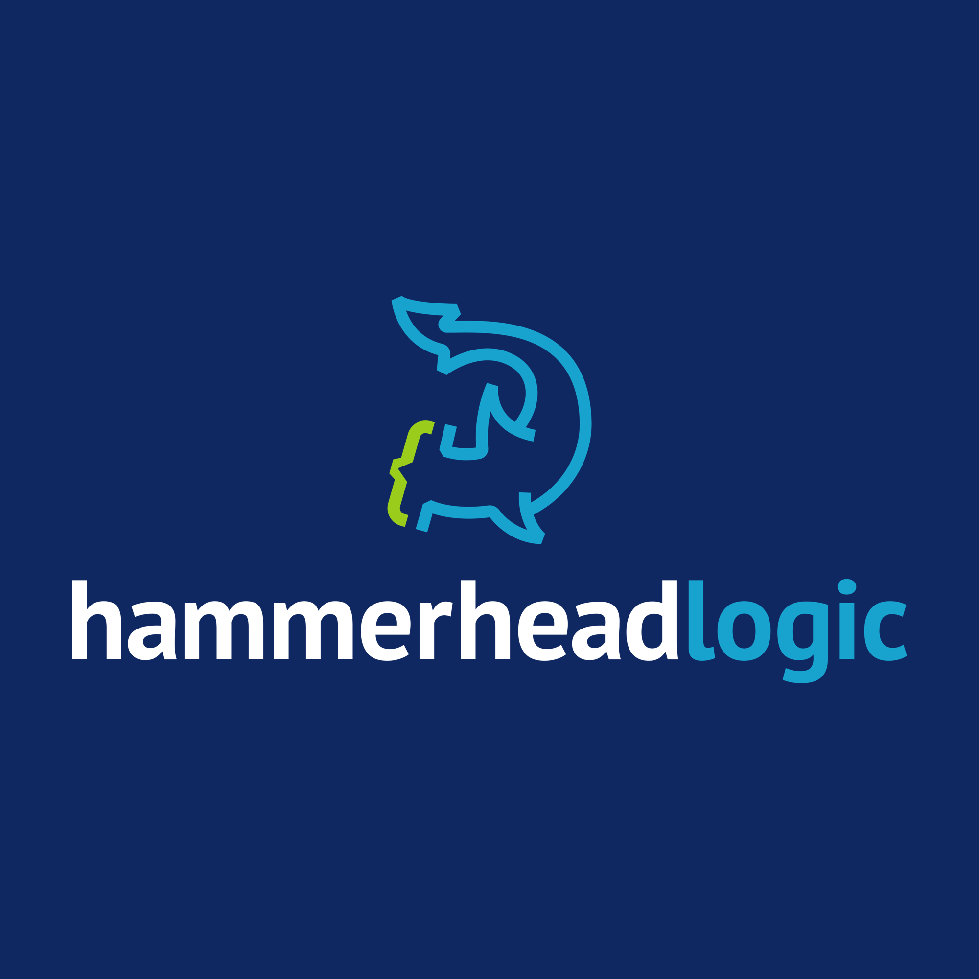 HammerHead Logic 25+ Years, Software & Engineering Solutions